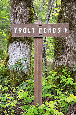 Sign directing to ponds at Bonneville Dam, Bonneville Dam, Oregon