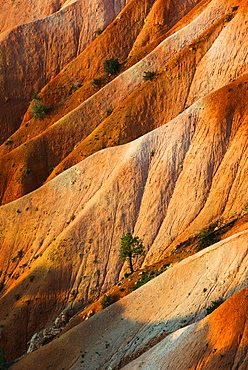 Bryce Amphitheater, USA, Utah, Bryce Canyon