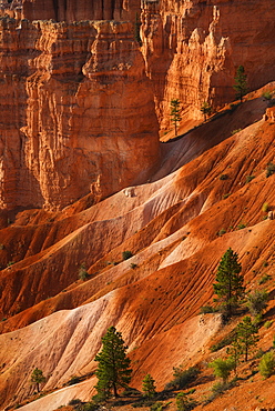 Bryce Amphitheater, USA, Utah, Bryce Canyon