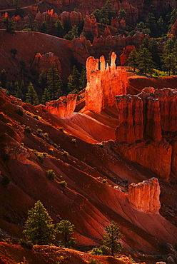 Bryce Amphitheater, USA, Utah, Bryce Canyon