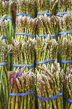 Close-up of asparagus bunches on market stall