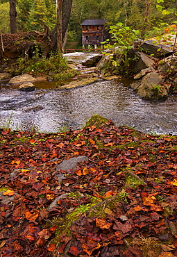 Meytre Grist Mill, Stream in forest, Meytre Grist Mill, McGalliard Falls, Valdese, North Carolina