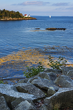 Curtis island light, Camden, Maine