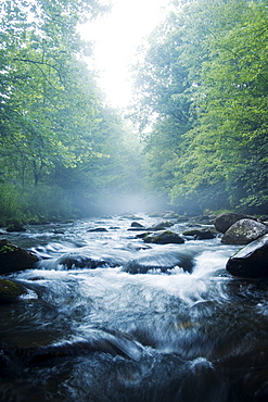 Smoky Mountain National Park USA