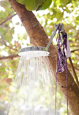 Outdoor shower under trees