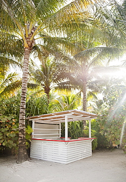 Bar in tropical beach setting