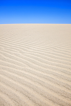 Oregon, Florence, Rippled sand dune