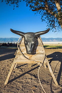 Lasso and rack with bull head, Antelope Island, Utah