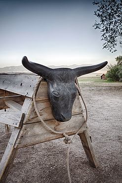 Lasso and rack with bull head, Antelope Island, Utah