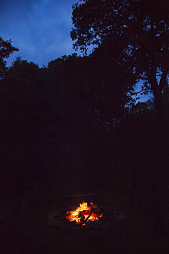 Campfire at night