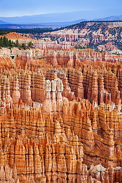 Sandstone formations, Bryce Canyon National Park, Utah