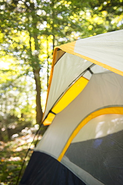 Tent in forest, Newtown, Connecticut