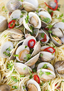 Pasta dish with mussels