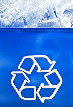 Plastic bottles in recycling bin