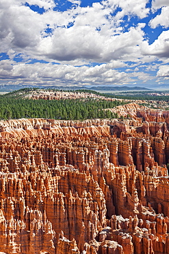 Sandstone formations, Bryce Canyon National Park, Utah