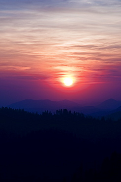 Sequoia National Forest