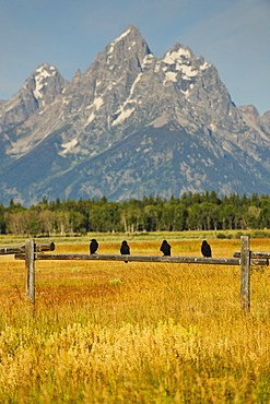 Scenic view of mountains