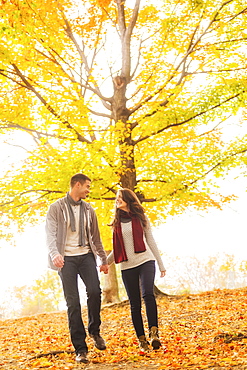 Couple in Central Park, USA, New York State, New York City