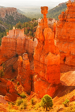 View of Thor's Hammer, USA, Utah, Bryce Canyon