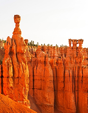 Bryce Canyon National Park, Bryce Canyon National Park, Utah, USA