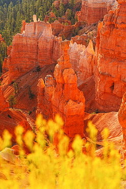 Bryce Canyon National Park, Bryce Canyon National Park, Utah, USA