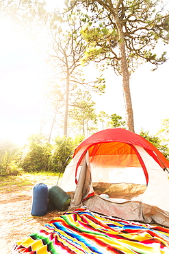 Sleeping bags in front of tent, Tequesta, Florida