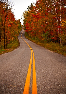 Road in autumn