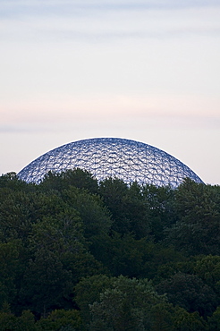 Trees in front of Biosphere