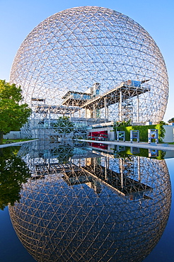 Biosphere reflected in water