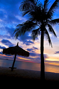 Aruba, silhouette of palm tree and palapa on beach at sunset