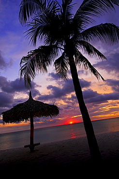 Aruba, silhouette of palm tree and palapa on beach at sunset