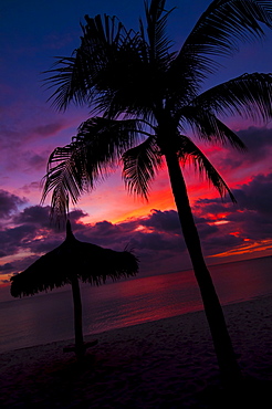 Aruba, silhouette of palm tree and palapa on beach at sunset