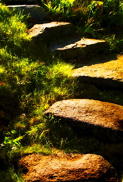 Stone steps in morning light, USA, New Hampshire, Portsmouth