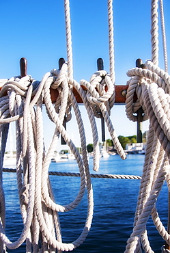 Coiled ropes on yacht deck, USA, Maine, Camden