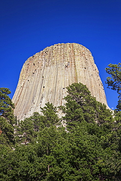 Devil's Tower National Monument against blue sky, Devil's Tower National Monument, Wyoming