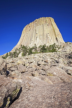 Devil's Tower National Monument against blue sky, Devil's Tower National Monument, Wyoming