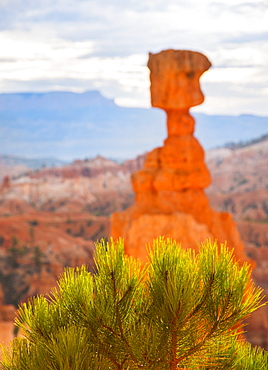 Landscape with cliff, Bryce Canyon, Utah