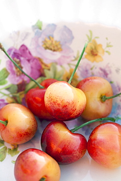 Detail of sour cherries in bowl