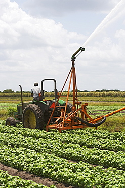 Tractor watering field, Florida, United States