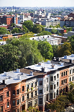 View of rowhouses in Brooklyn, New York