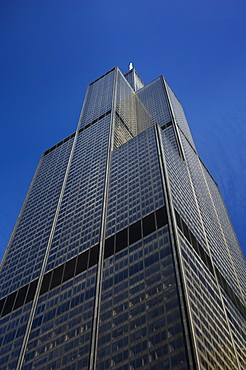 Sears Tower in Chicago Illinois USA