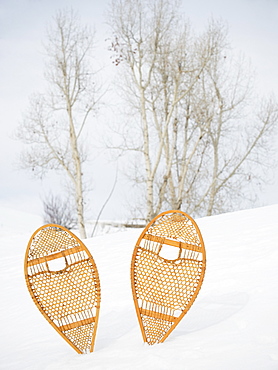 Snow shoes stuck in snow