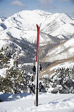 Skis stuck in snow