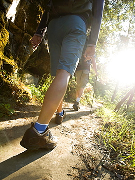 Hikers on forest trail