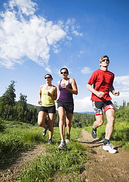 Runners training on mountain trail