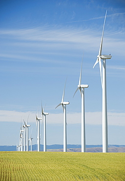 Windmills in a row on wind farm