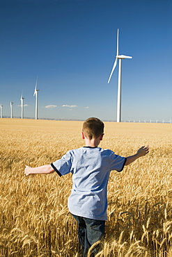 By running through field on wind farm