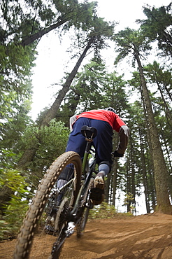 Mountain bikers riding in forest