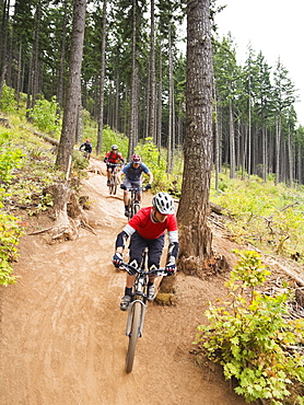 Mountain bikers riding on forest trail