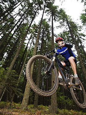 Mountain biker in mid-air on forest trail